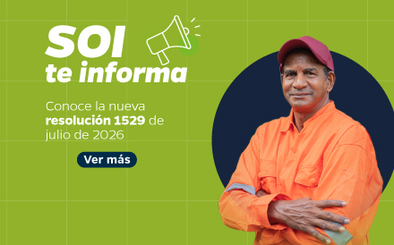 Resolución 1529 mini