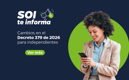 Decreto 379